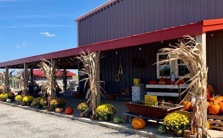 Pictures of Industrial, Mixed Use, Land property located at 13360 U.S. 62, Mt Sterling, OH 43143 for sales - image #1