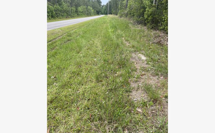 Pictures of Retail, Land property located at Leetown Road, Picayune, MS 39466 for sales - image #1