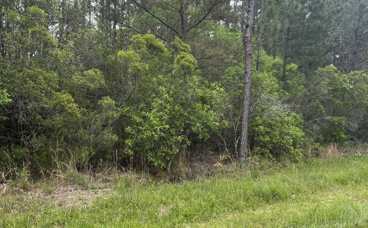 Pictures of Retail, Land property located at Lot 3 Leetown Road, Picayune, MS 39466 for sales - image #1