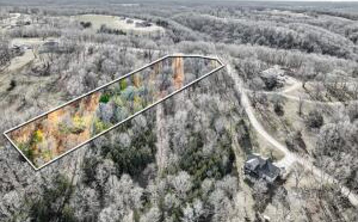 Pictures of Land property located at 000 Regal Heights Lot 44, Galena, MO 65656 for sales - image #1