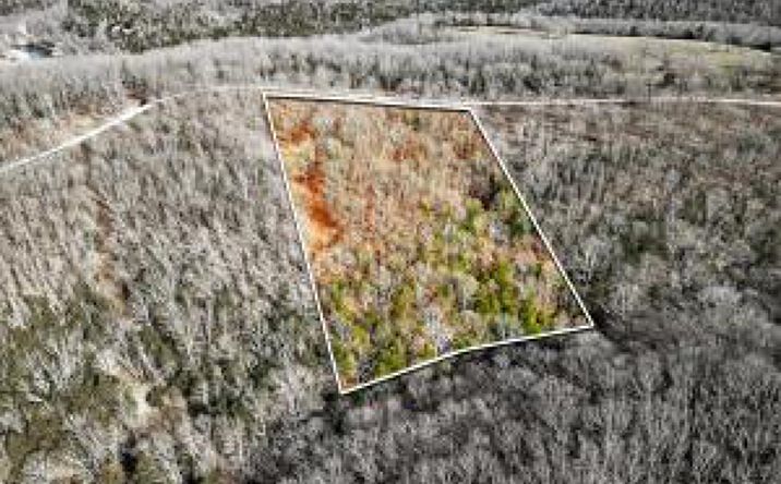 Pictures of Land property located at 000 Regal Heights Lot 34, Galena, MO 65656 for sales - image #1
