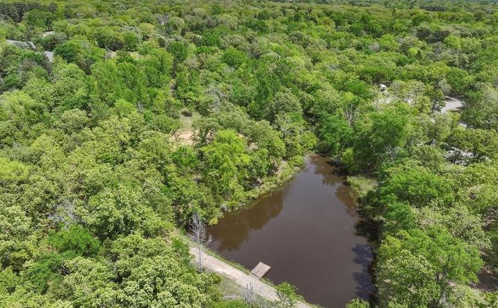 Pictures of Land property located at 8950 Timber Ridge, LaRue, TX 75770 for sales - image #1