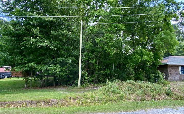 Pictures of Land property located at 104 Tulip Drive, Picayune, MS 39466 for sales - image #1