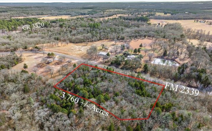 Pictures of Land property located at Lot 20,21,22 FM 2339 (Callender Lake X), Murchison, TX 75778 for sales - image #1