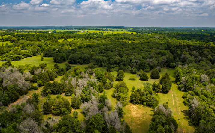 Pictures of Mixed Use, Land property located at 1555 County Road 323, Rockdale, TX 76567 for sales - image #1