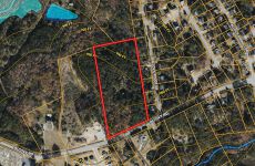 32005695