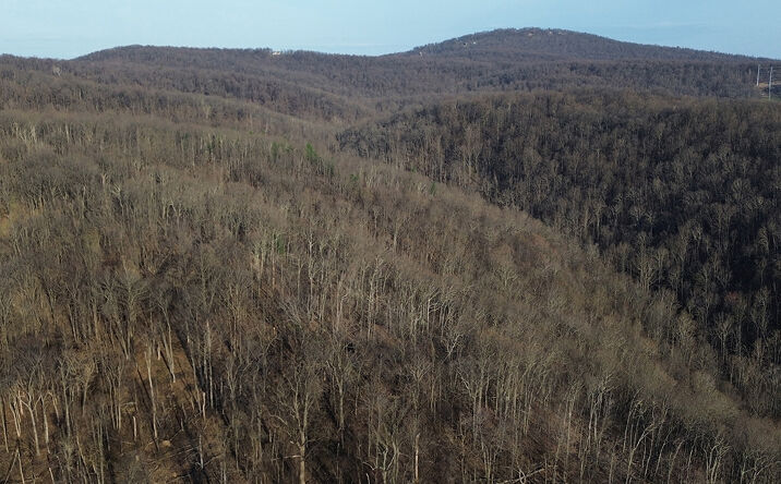 Pictures of Land property located at Hardscrabble Rd, Linden, VA 22642 for sales - image #1