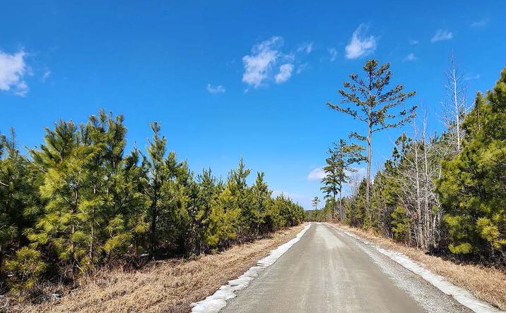 Pictures of Land property located at Maxeys Mill Road (CR646), Cumberland, VA 23040 for sales - image #1