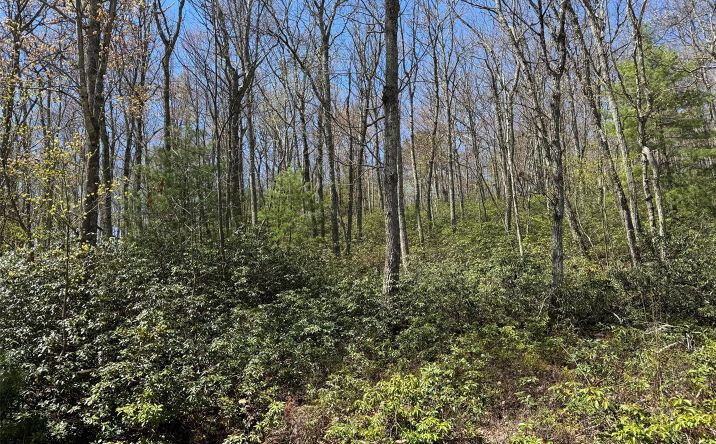 Pictures of Land property located at N Orange Street, Port Jervis, NY 12771 for sales - image #1