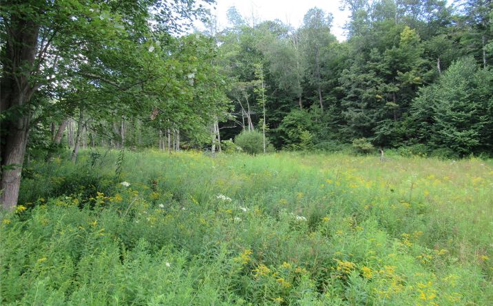 Pictures of Land property located at TBD Ferndale Road, Liberty, NY 12734 for sales - image #1