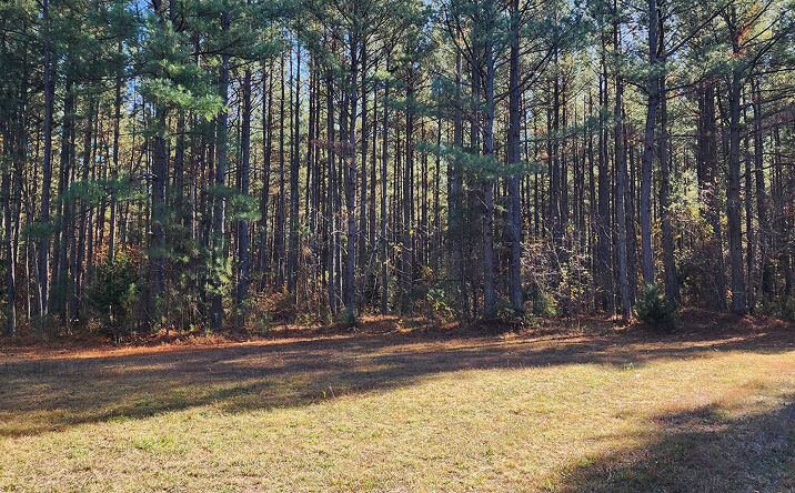 Pictures of Land property located at Grand Brooks Rd, Spotsylvania Courthouse, VA 22551 for sales - image #1