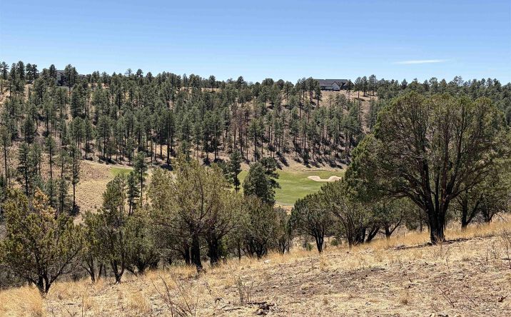 Pictures of Land property located at 136 Bobby Jones Court, Alto, NM 88312 for sales - image #1