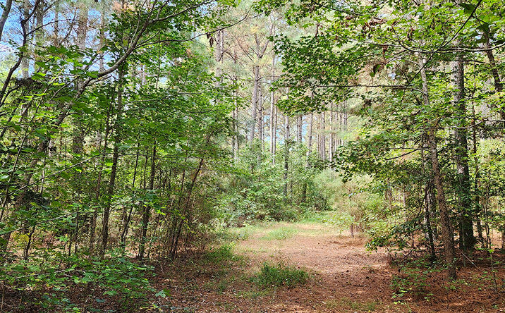 Pictures of Land property located at Maynards Store Rd, Carrsville, VA 23315 for sales - image #1