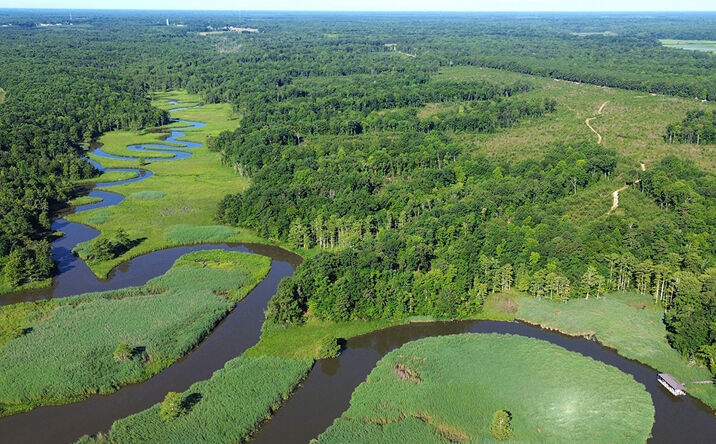 Pictures of Land property located at Rolfe Hwy, Surry, VA 23883 for sales - image #1
