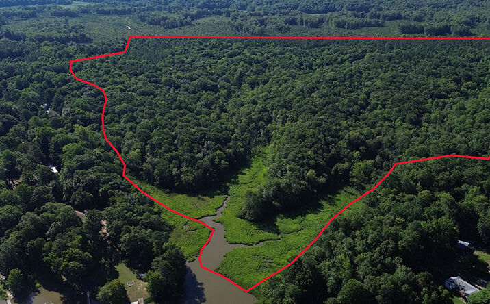 Pictures of Land property located at Rolfe Hwy, Surry, VA 23883 for sales - image #1