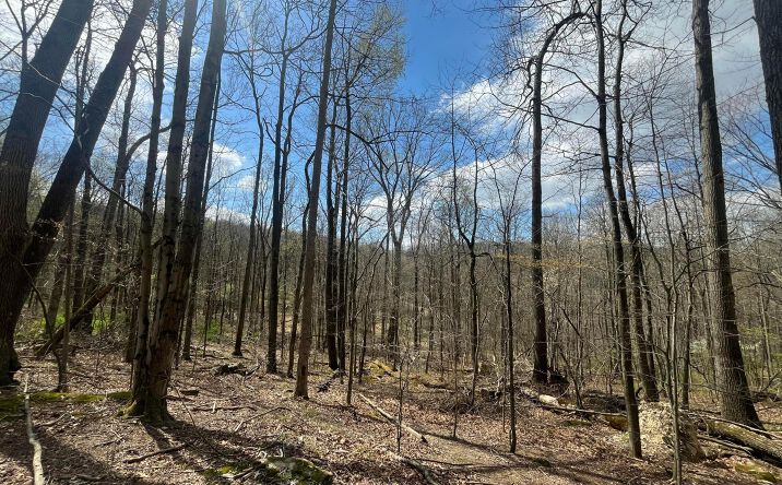 Pictures of Land property located at 14040 Pinewood Trail Road NE, Newark, OH 43055 for sales - image #1