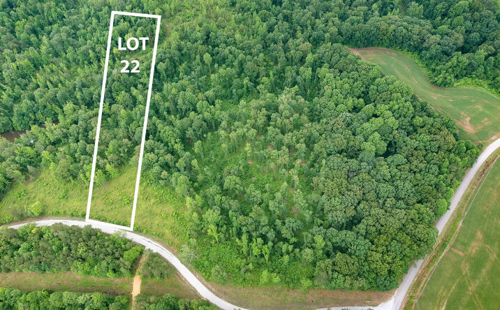 Butler (Lot 22) Road, Pinson