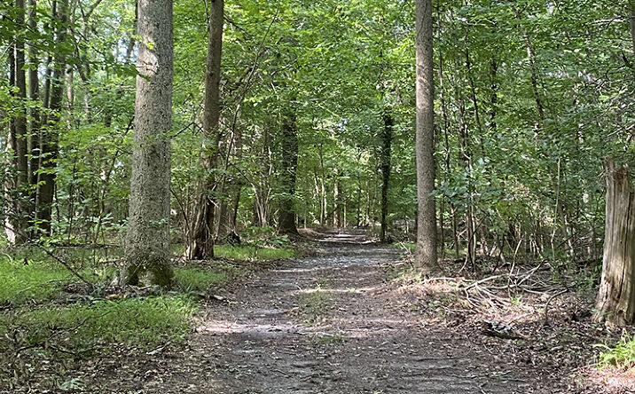 Pictures of Land property located at Old Stage Hwy, Smithfield, VA 23430 for sales - image #1