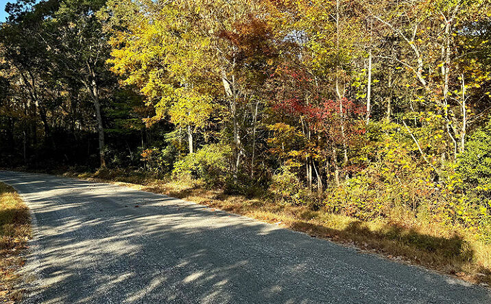 Pictures of Land property located at Old Glebe Point Rd, Burgess, VA 22432 for sales - image #1