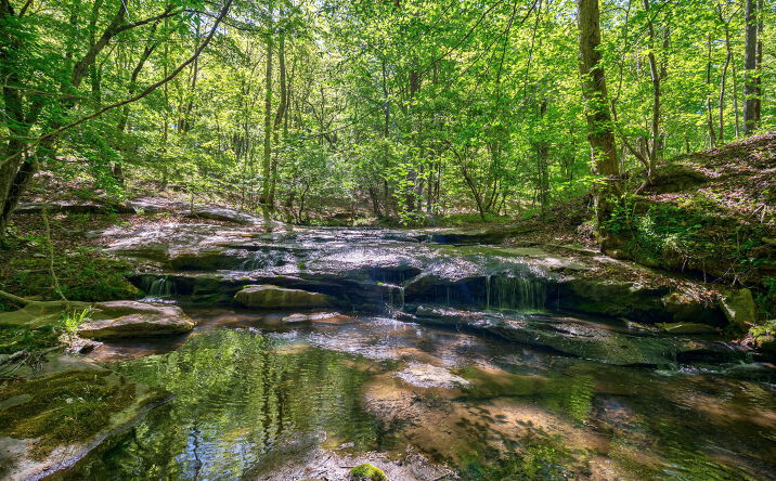 Pictures of Land property located at BREWERS BRIDGE RD, ELBERTON, GA 30635 for sales - image #1