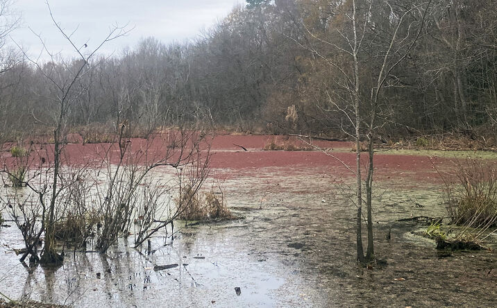 Pictures of Land property located at 0 E Atlantic St, Emporia, VA 23847 for sales - image #1