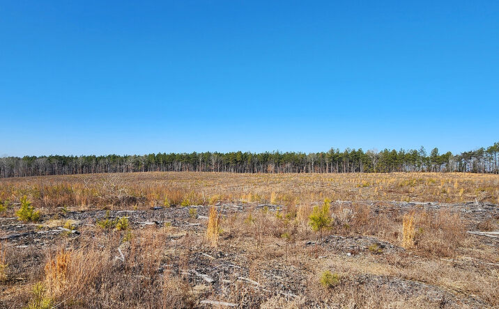 Pictures of Land property located at Abilene Rd, Charlotte, VA 23923 for sales - image #1