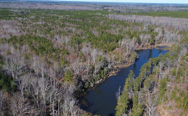Pictures of Land property located at Elevon Rd, Milford, VA 22514 for sales - image #1