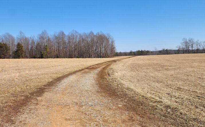 Pictures of Land property located at Meherrin Rd, Meherrin, VA 23954 for sales - image #1