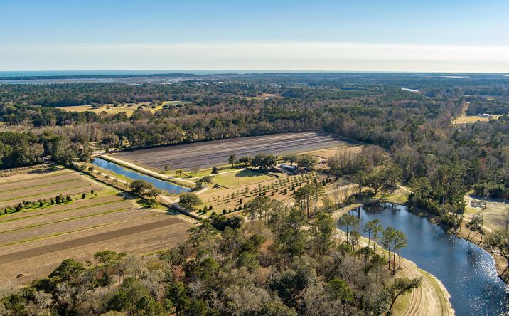 Pictures of Land property located at 4750 River Road # 1a #1 & 1a, Johns Island, SC 29455 for sales - image #1