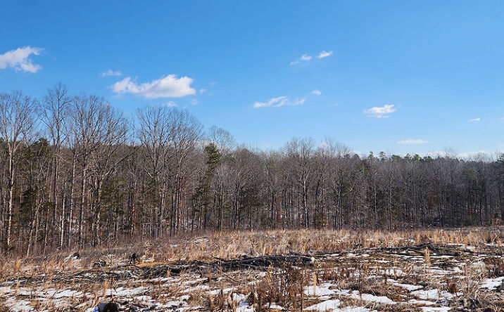 Pictures of Land property located at Anderson Hwy, Cumberland, VA 23040 for sales - image #1