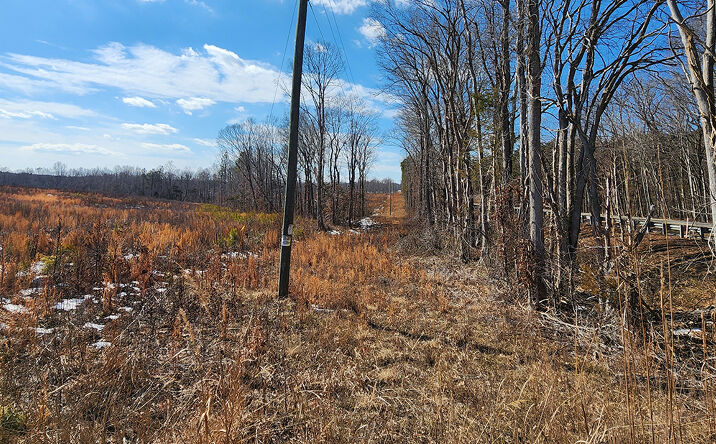 Pictures of Land property located at Anderson Hwy, Cumberland, VA 23040 for sales - image #1