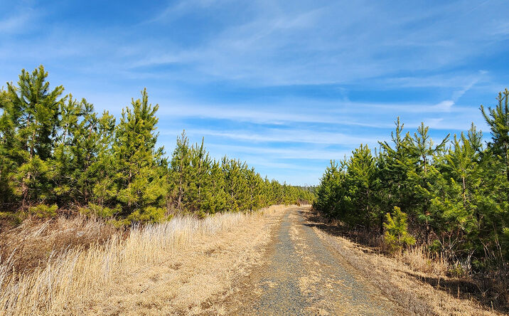 Pictures of Land property located at Maxeys Mill Rd, Cumberland, VA 23040 for sales - image #1