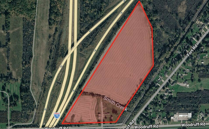 Pictures of Land property located at 21238 Woodruff Rd, Brownstown Township, MI 48173 for sales - image #1