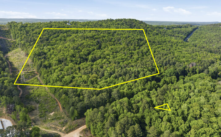 Pictures of Land property located at Bristow Gap Road, Leesburg, AL 35983 for sales - image #1