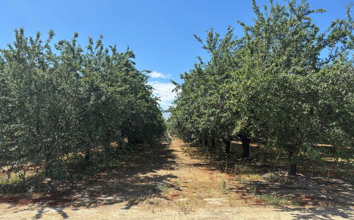 Pictures of Land property located at 641 Schallock Road, Bakersfield, CA 93313 for sales - image #1