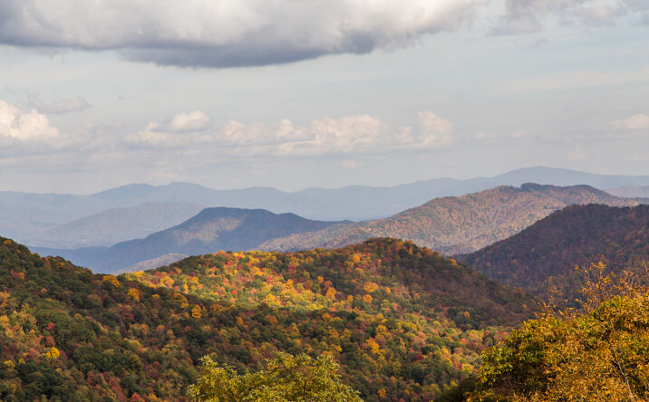 Pictures of Land property located at 2607 Wolf Laurel Rd, Mars Hill, NC 28754 for sales - image #1