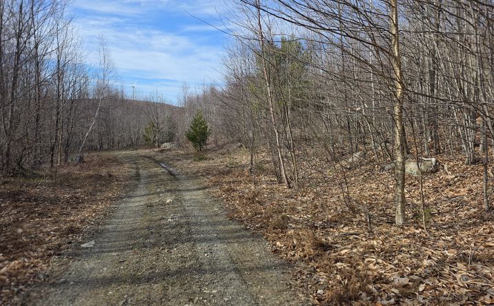 Pictures of Land property located at Ridge Road, Oakfield, ME 04763 for sales - image #1