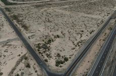 32024647