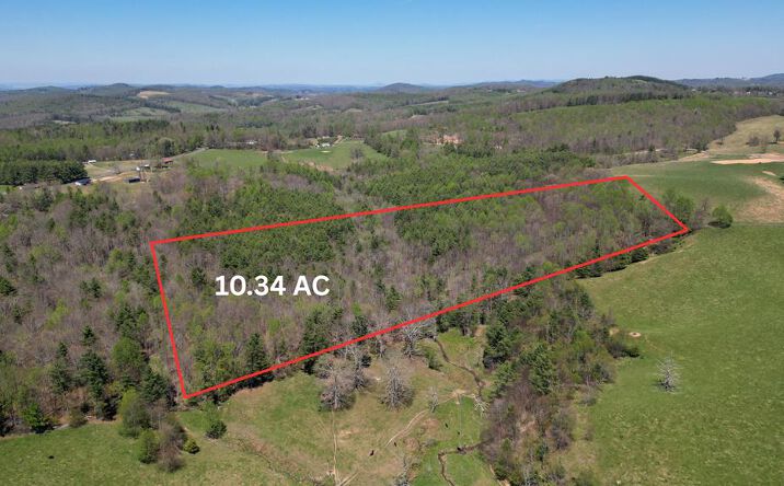 Pictures of Land property located at 716 Tbd, Fancy Gap, VA 24333 for sales - image #1