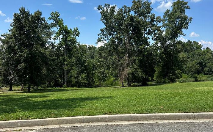 Pictures of Land property located at 2905 Pebblewood Drive, Valdosta, GA 31602 for sales - image #1