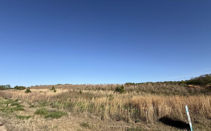 Pictures of Mixed Use, Land property located at CHATEAU BLVD, PARAGOULD, AR 72450 for sales - image #1