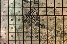 32043772