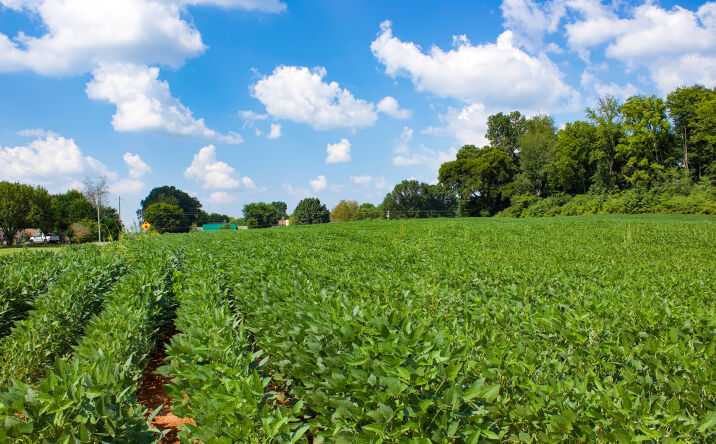 Pictures of Land property located at Joe Quick Road, Hazel Green, AL 35750 for sales - image #1