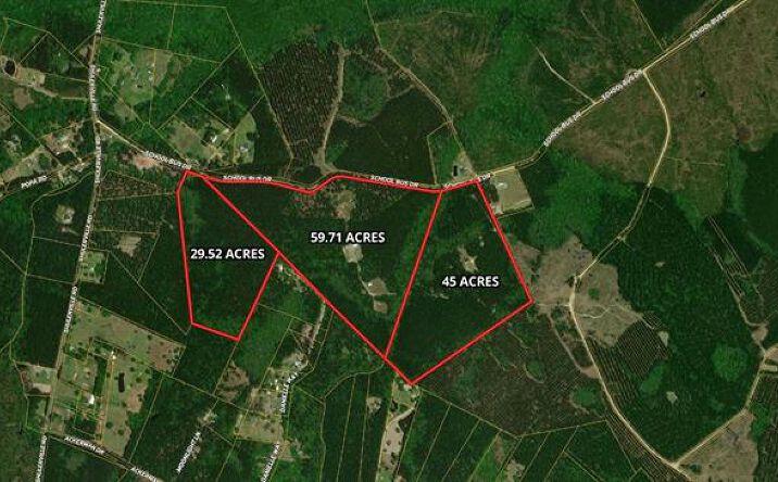 Pictures of Land property located at 1267 School Bus Rd, Jamestown, SC 29453 for sales - image #1