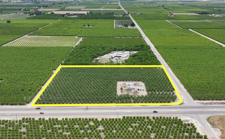Pictures of Land property located at 13910 E Mountain View Ave, Kingsburg, CA 93631 for sales - image #1