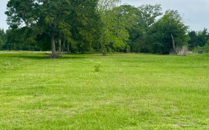 Pictures of Land property located at 4020 SARGENT CT, BAY CITY, TX 77414 for sales - image #1