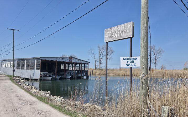 Pictures of Retail, Land, Special Purpose property located at 7116 McDonald Street, Harsens Island, MI 48028 for sales - image #1