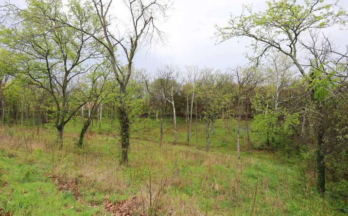 Pictures of Land property located at Lot 12, 13, 14 Dorothy Dr, Perryville, MO 63775 for sales - image #1