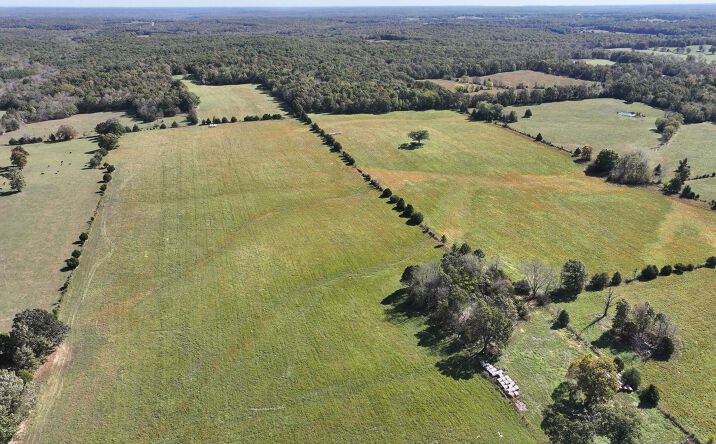 Pictures of Land property located at State Hwy DD, Glen Allen, MO 63655 for sales - image #1