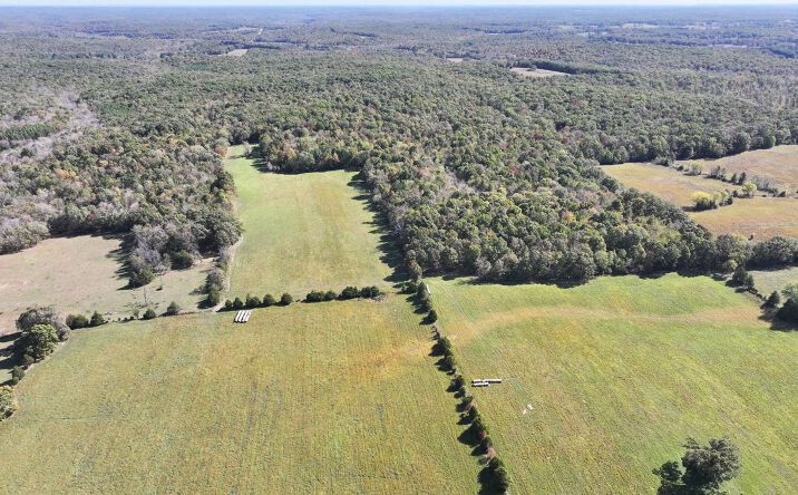 Pictures of Land property located at Tract 3 State Hwy DD, Glen Allen, MO 63655 for sales - image #1
